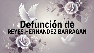 Defunción en Salamanca de REYES HERNANDEZ BARRAGAN
