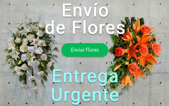 Envio de flores urgente a Tanatorio Salamanca